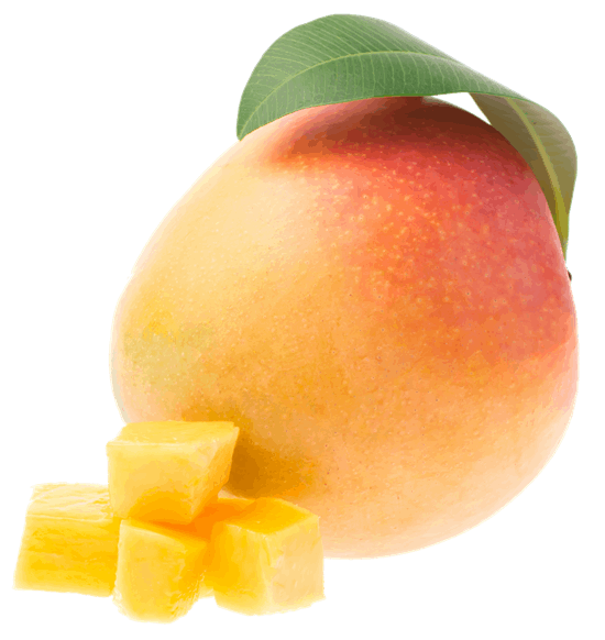 Mango meyvesi Mango meyvesi